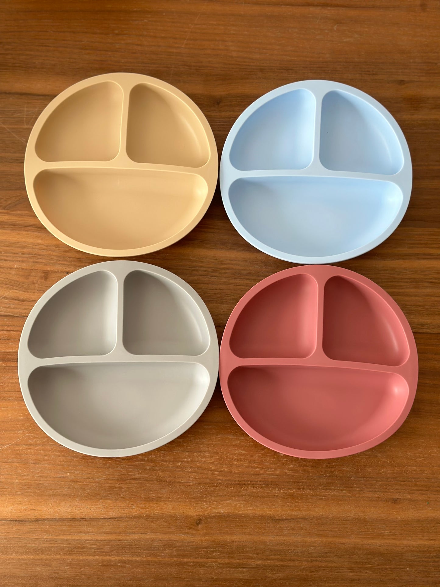 Suction Plate with 3 Compartments