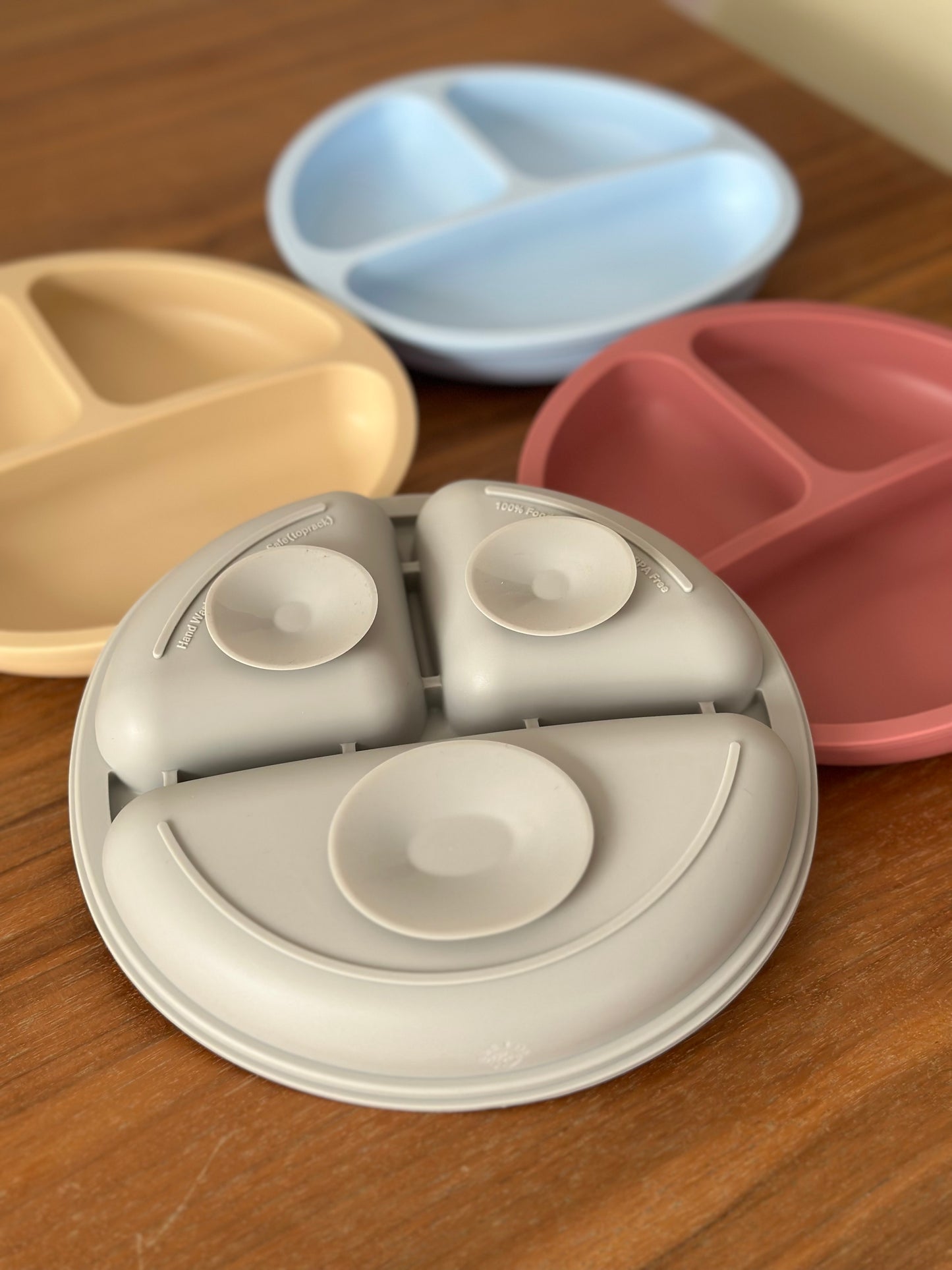 Suction Plate with 3 Compartments