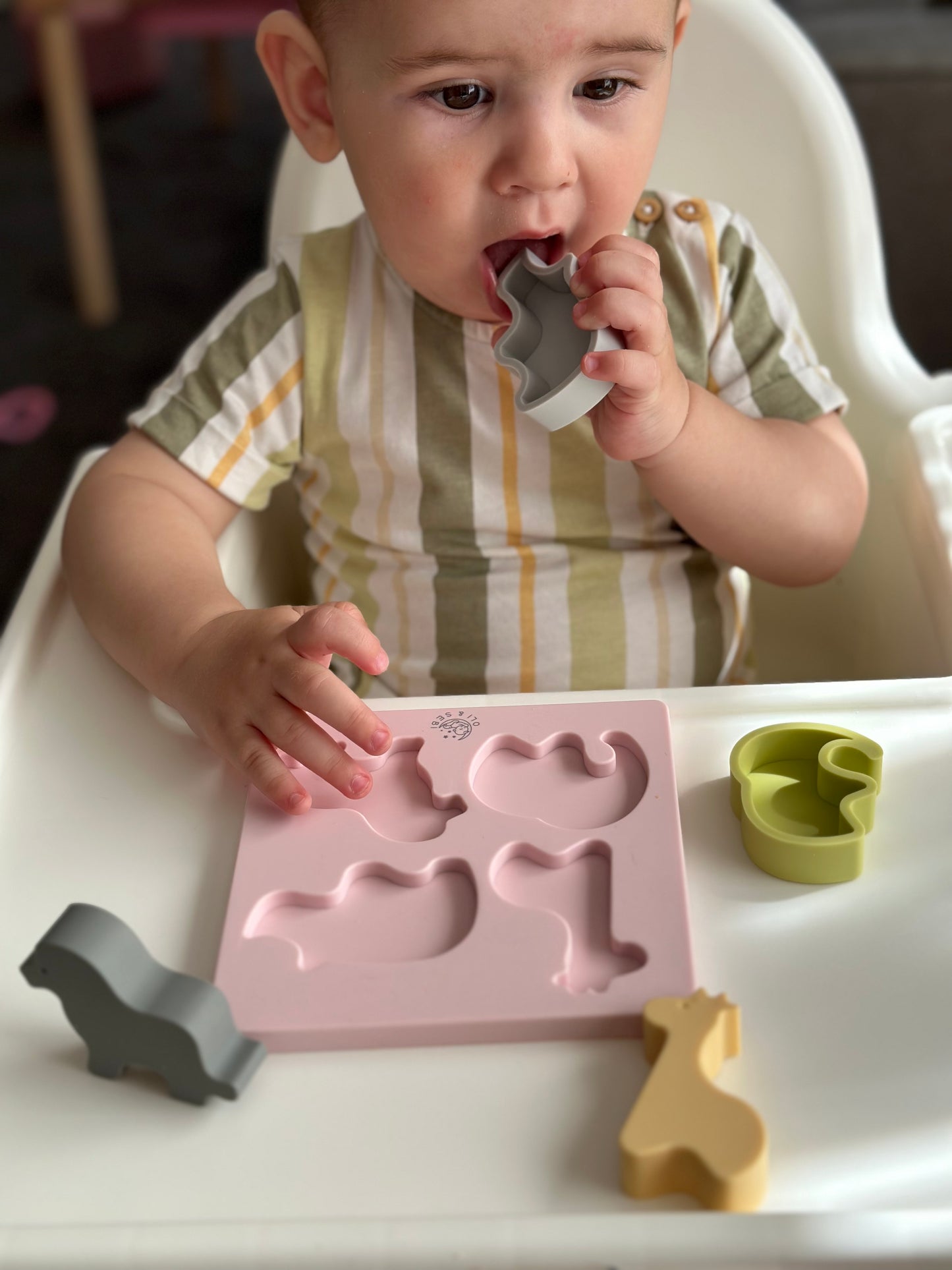 Silicone Animal Puzzle